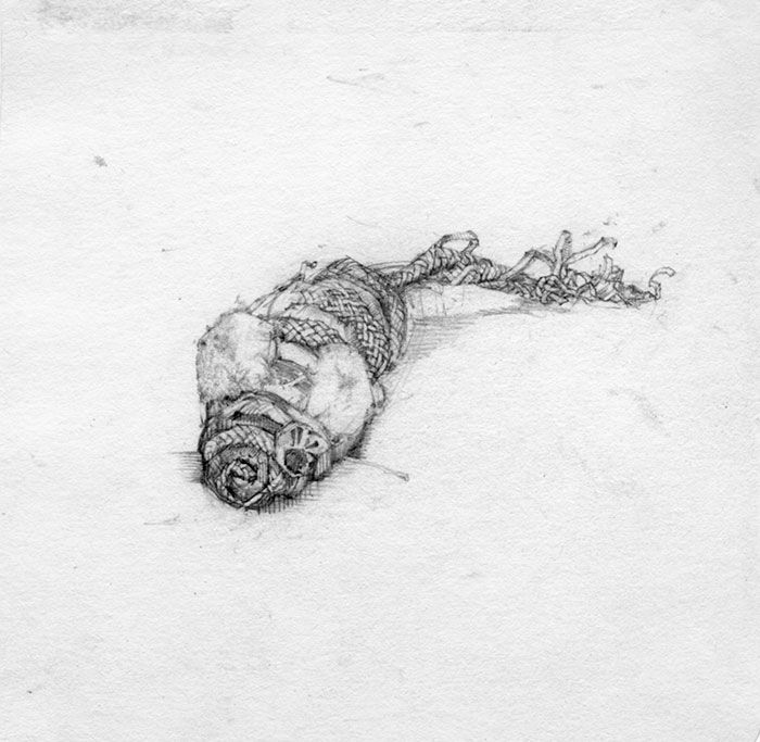 cat toy drawing